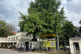 С 1 августа Калининградский зоопарк будет работать на час меньше