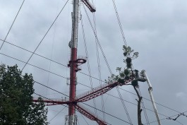 В честь 8 Марта в Калининграде подсветят телебашню на Советском проспекте 