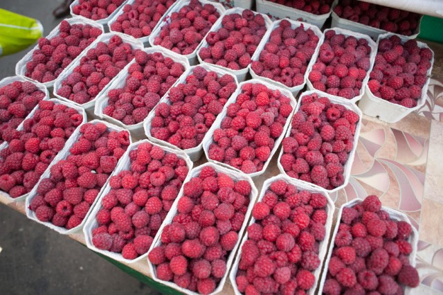«Голубика, малина и не только»: какие ягоды созрели на местных фермах и где их можно собрать самому 