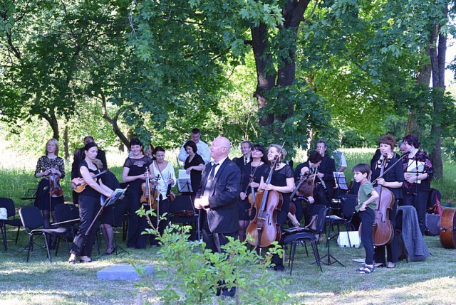 «Концерт для леса»: симфонический оркестр Аркадия Фельдмана выступил в Роминтской пуще (фото)