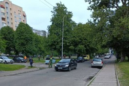 «Вроде простое дело»: Беспрозванных раскритиковал покос травы в Калининграде