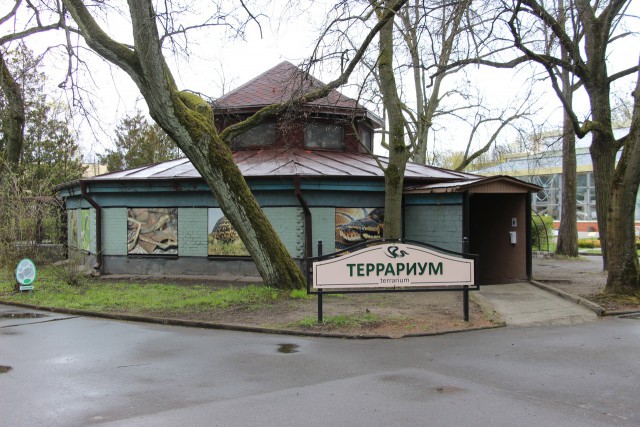 В калининградском зоопарке после ремонта открыли террариум 