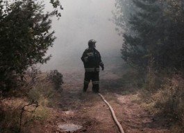 «Четыре часа ада»: МЧС и волонтёры потушили возгорание на Куршской косе (фото)