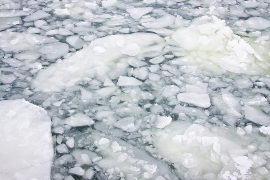 От берега Куршского залива оторвало льдину с 70 рыбаками