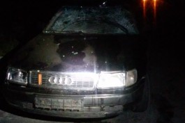На трассе Калининград — Неман в аварии с участием лося пострадал пассажир «Ауди»