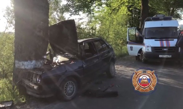Под Зеленоградском водитель «Фольксвагена» без прав врезался в дерево: погиб пассажир (видео)