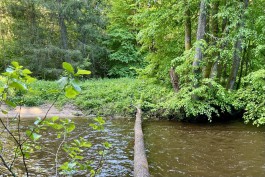 На благоустройство двух экотроп в Виштынецком нацпарке выделили 93 млн рублей