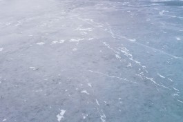 Роспотребнадзор запретил работу лёдогенерирующей установки в жилом доме в Калининграде