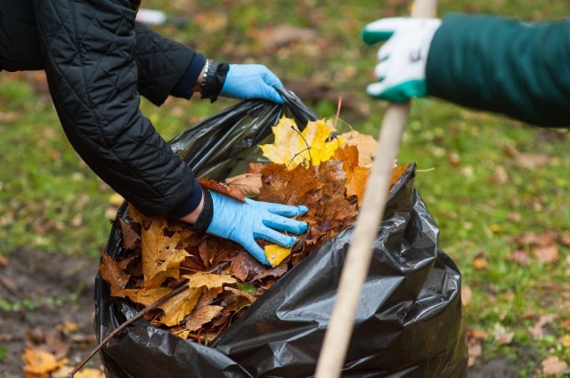 В Зеленоградске 1 ноября пройдёт городской субботник