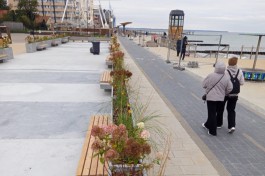 В Зеленоградске завершили озеленение парклета на площади «Роза ветров»