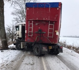 Под Нестеровом фура с прицепом врезалась в дерево