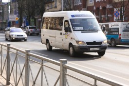 Мэрия: В Калининграде отлавливают автобусы и маршрутки «БалтАвтоЛайна»
