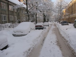 МУП «Чистота»: На уборку Калининграда после снегопада нам потребуется 2-3 дня