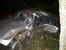 В Багратионовском округе «Ауди» въехала в дерево: погиб 28-летний водитель