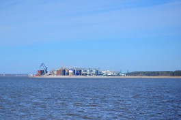 «Содружество» вложит 30 млрд рублей в зерновой терминал для перевозки грузов из Калининграда в Петербург