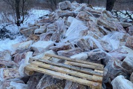 На окраине Калининграда нашли свалку биоотходов