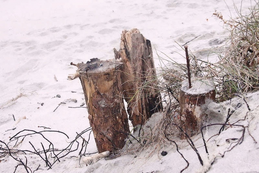 На Куршской косе построят «посёлок викингов» (видео)