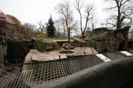 В калининградском зоопарке на три дня закрыли доступ к историческому вольеру медведей