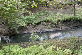 В Гурьевском округе нашли новые загрязняющие выпуски в Гагаринский ручей