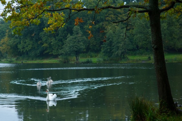 Синоптики прогнозируют до +14°C на рабочей неделе в Калининградской области