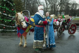 «Новогодние каникулы»: куда сходить с детьми в Калининграде