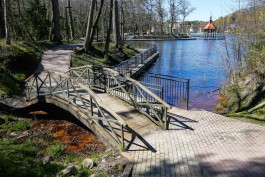 В Светлогорске начали чистить Тихое озеро с помощью самоходной машины-амфибии