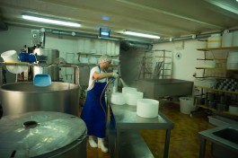 Калининградскому предпринимателю разрешили построить вторую сыроварню под Неманом