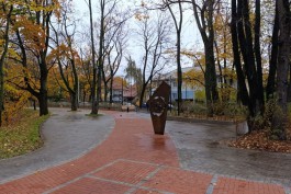 На территории Каштанового парка в Калининграде высадят 80 деревьев и кустарников