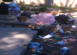 Беда с уборкой мусора на улице Багратиона в Калининграде
