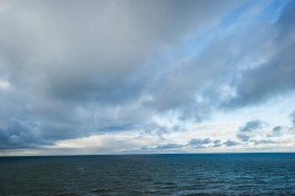 Калининградские рыбаки сократили вылов трески в Балтийском море