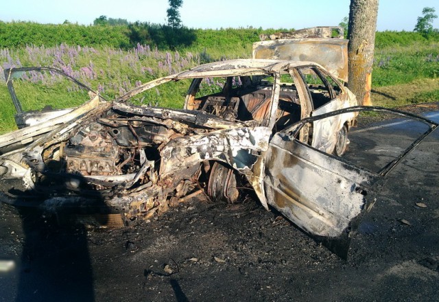 Очевидцы: В Багратионовском округе «Фольксваген» въехал в дерево и загорелся, погиб человек
