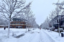 Синоптики: В Калининградской области к концу недели снега существенно прибавится