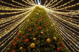 К установке новогодней ёлки в Зеленоградске планируют приступить 20 ноября