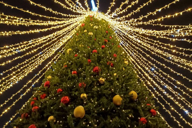 К установке новогодней ёлки в Зеленоградске планируют приступить 20 ноября