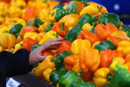 Поставки томатов и перцев из-за рубежа в Калининградскую область выросли вдвое