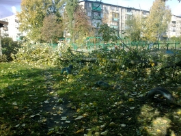 В Калининграде ожидается усиление ветра до 24 м/с