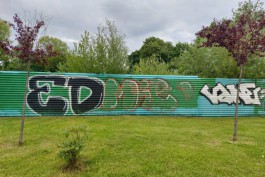 &laquo;Заполонили город&raquo;: власти Калининграда фиксируют рост числа незаконных граффити