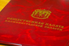 «Назначенцы» Цуканова выбрали ещё 12 членов Общественной палаты региона