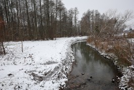 В Калининградской области завершили расчистку реки Каменки