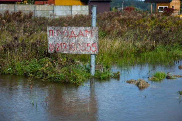 Под Зеленоградском резко повысился уровень реки Медвежьей: ближайшим посёлкам грозит подтопление