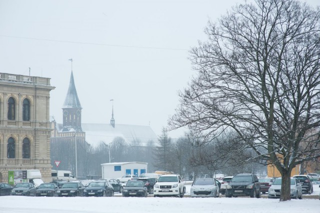 «Снег и порывы ветра»: синоптики рассказали о калининградской погоде в начале декабря