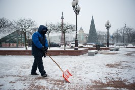 «Летает и не тает»: как Калининград встретил первый настоящий снегопад (фото)