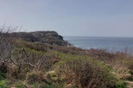 Строительство берегозащитных сооружений в Филино оценили в 1,3 млрд рублей