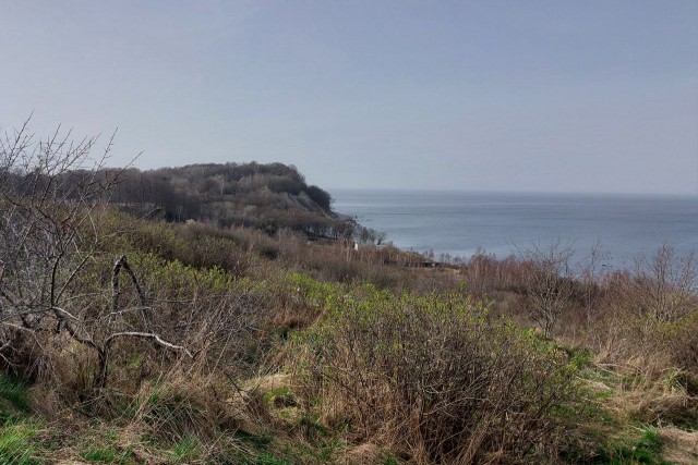 Строительство берегозащитных сооружений в Филино оценили в 1,3 млрд рублей