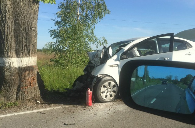 Под Гурьевском «Киа» врезалась в дерево: погиб 49-летний водитель