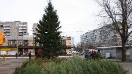 В Балтийске украсят к Новому году 15-метровую ёлку