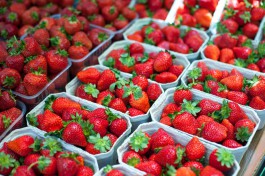 В Калининградской области построят новый цех по переработке местных ягод 