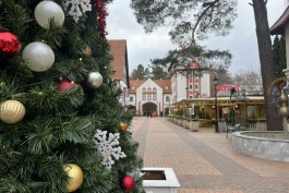 В центре Светлогорска на новогодние праздники ограничат движение транспорта