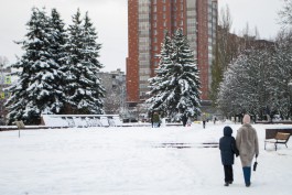 В Калининградской области ожидается морозная неделя со снегом