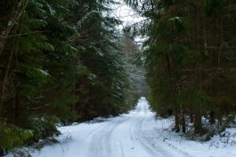 На обустройство туристической инфраструктуры в Виштынецком нацпарке направят 161 млн рублей